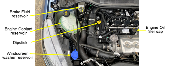 Show and Tell (Vehicle Safety Checks) - Under the Bonnet diagram