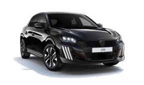 Driving School Lessons In The Peugeot 208